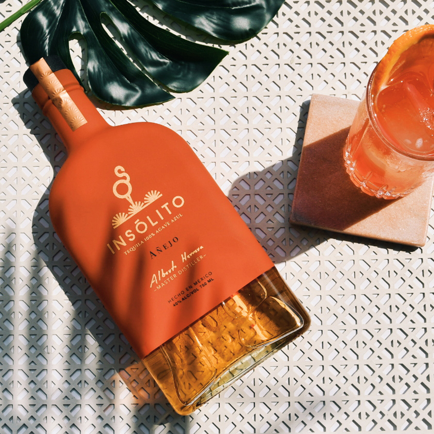 Insolito Tequila Insolito Tequila