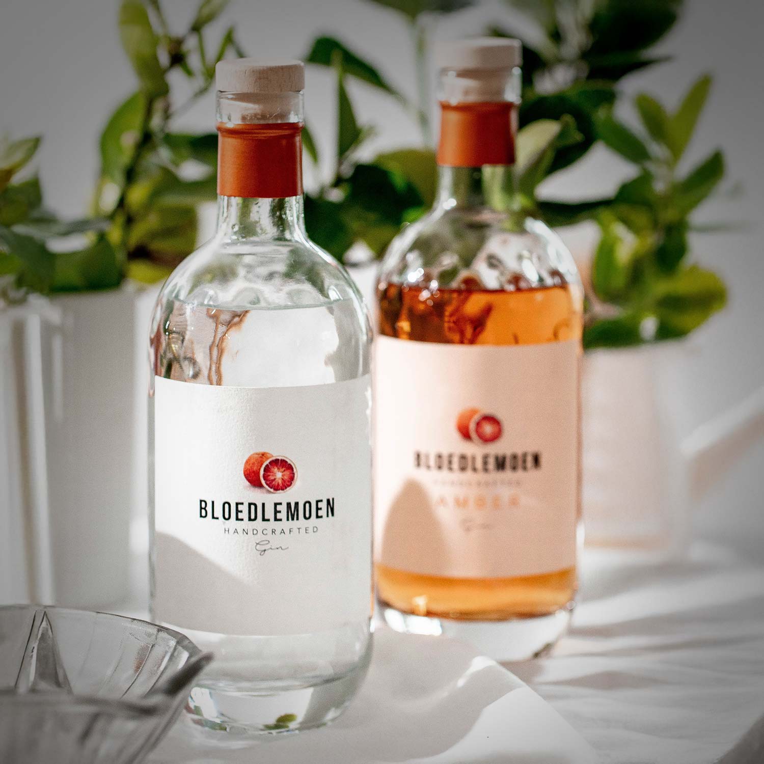 Bloedlemoen Gin