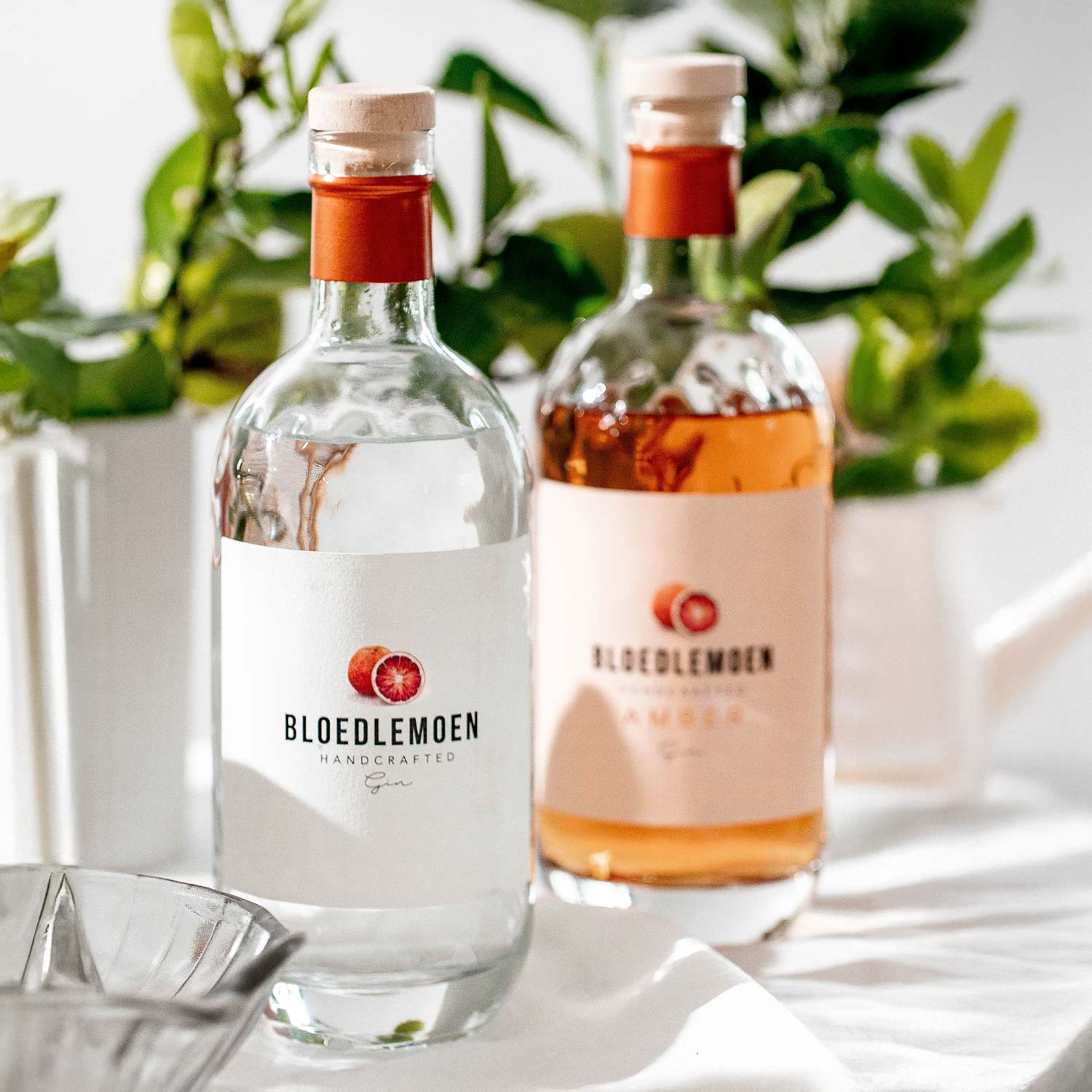 Bloedlemoen Gin