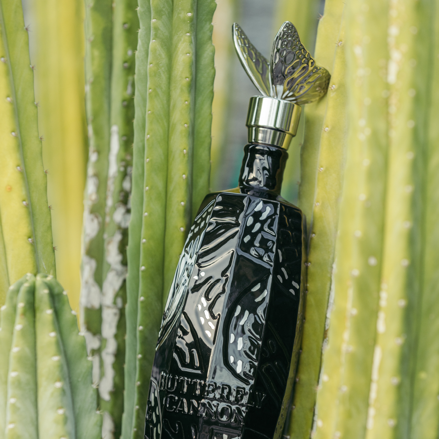 Butterfly Cannon Tequila